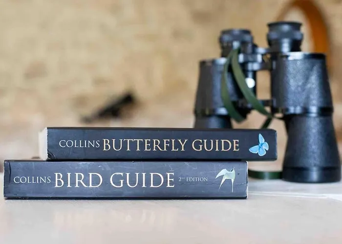 La Bastoulie Near Cordes-sur-ciel * Lacapelle-Segalar